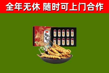 平陆县烟酒回收冬虫夏草礼盒.jpg